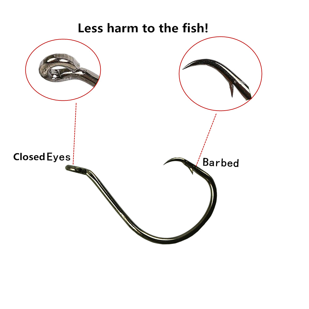 High Carbon Steel Barbed Micro Fishing Hooks Set With Eyed Circle Design  For Carp Tackle And Sea Feeder 22246L From Ai789, $18.24